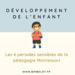6 périodes sensibles Montessori