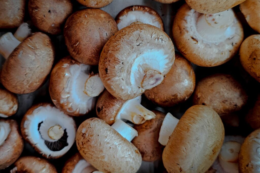 A bunch of mushrooms sitting on top of a table