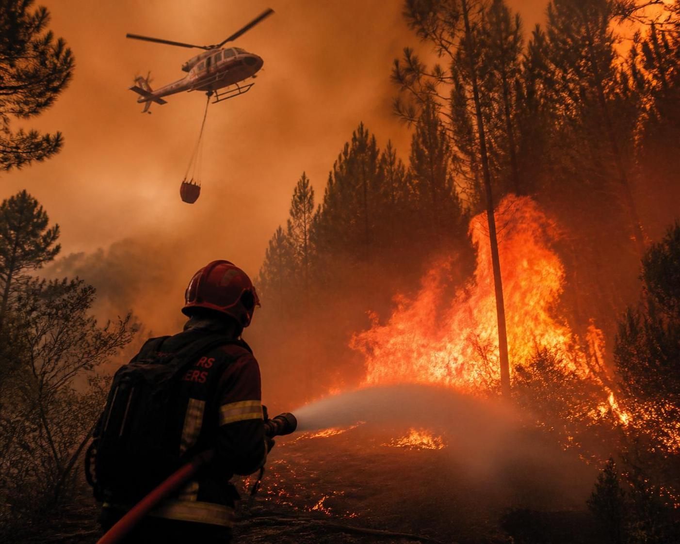 plongez dans rescue ops: wildfire, une simulation immersive et intense qui vous met au défi de maîtriser la lutte contre les incendies pour sauver des vies et protéger la nature.